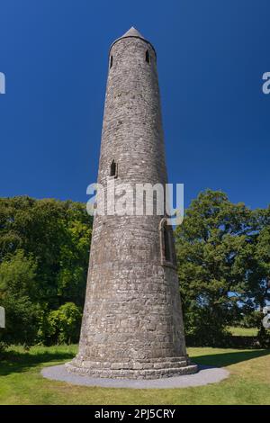 Irland, County Laois, Timahoe Round Tower. Stockfoto