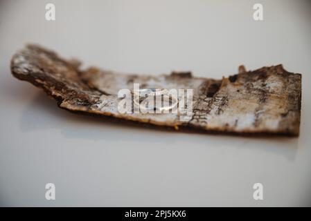 Zwei goldene Eheringe, die auf einer Seite aus einem antiken Buch liegen Stockfoto