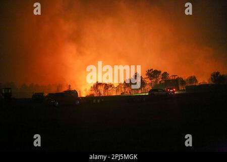 La Belga Baja, Spanien, 31. März 2023: Bei mehr als hundert Bränden in Asturien am 31. März 2023, in La Belga Baja, Spanien, greift ein Feuer auf das Land ein. Kredit: Alberto Brevers / Alamy Live News Stockfoto