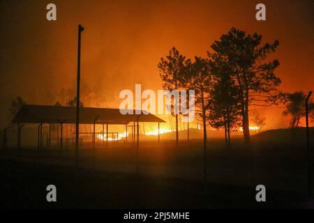 La Belga Baja, Spanien, 31. März 2023: Bei mehr als hundert Bränden in Asturien am 31. März 2023, in La Belga Baja, Spanien, greift ein Feuer auf das Land ein. Kredit: Alberto Brevers / Alamy Live News Stockfoto