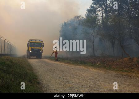 La Belga Baja, Spanien, 31. März 2023: Ein Feuerwehrmann streckt den Schlauch während mehr als hundert Bränden, die Asturien am 31. März 2023 in La Belga Baja, Spanien, monopolisieren. Kredit: Alberto Brevers / Alamy Live News Stockfoto