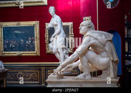 Tribuna, ein achteckiger Raum in den Uffizien mit Kunstwerken aus der Medici-Sammlung, darunter die Medici Venus, die Uffizien und Florenz Stockfoto