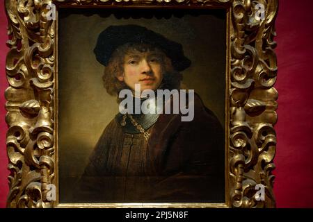 Selbstporträt eines jungen Mannes (1634) von Rembrandt in den Uffizien Stockfoto
