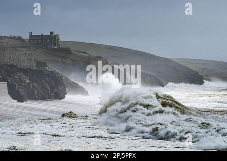 Porthleven, Cornwall, Großbritannien. 31. März 2023 Wetter in Großbritannien. Sturm Mathis schlägt heute die Küste von Cornwall in Porthleven. Credit Simon Maycock / Alamy Live News. Stockfoto