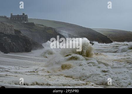 Porthleven, Cornwall, Großbritannien. 31. März 2023 Wetter in Großbritannien. Sturm Mathis schlägt heute die Küste von Cornwall in Porthleven. Credit Simon Maycock / Alamy Live News. Stockfoto