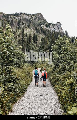 Familie mit Rucksäcken wandern in den Bergen aktiv Sommerurlaub zusammen verbringen Wandern auf Waldweg, reden und bewundern Natur Mountain lan Stockfoto