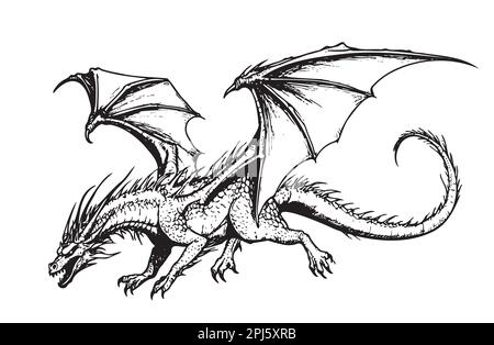 Fantasy Dragon fliegender Sketch Illustration Mythen und Legenden Stock Vektor