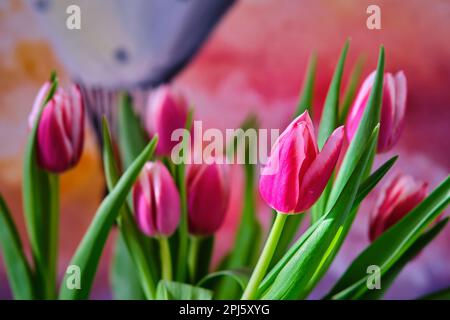 Strauß bunter Tulpenblüten mit einem Bild im Hintergrund. Selektiver Fokus auf eine einzige Blume Stockfoto