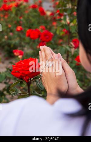 Über die Schulter sehen Sie eine betende Frau mit einem Rosenkranz in den Händen auf einem Hintergrund mit roten Rosen, selektiver Fokus. Stockfoto