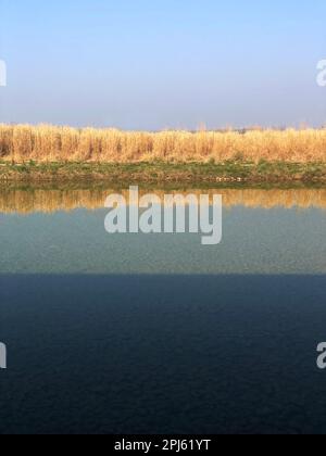 Feuchtgebiete in Aire de la baie de Somme Stockfoto