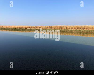 Feuchtgebiete in Aire de la baie de Somme Stockfoto