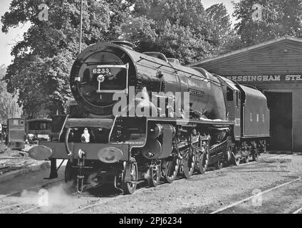 London Midland Scottish Railways 4-6-2 # 6233 Duchess of Sutherland Passagierdampfbahn, die 1936 in Crewe gebaut wurde und hier im Bressingham Steam Museum gesehen wurde Stockfoto