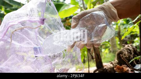 Die Leute tun Plastikflaschen in Müllsäcke. Landwirtschaft und Klimawandel, Mikroplastikabfälle. Lebensmittel- und Kunststoffverpackungsindustrie Stockfoto