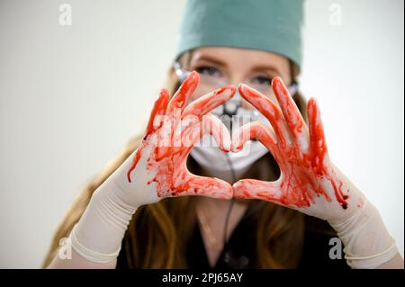 Operation und medizinisches Thema Bloody Hand Surgeon hält ein menschliches Herz in blutigen weißen Handschuhen isoliert auf weißem Hintergrund im Studio. Hochwertiges Foto Stockfoto