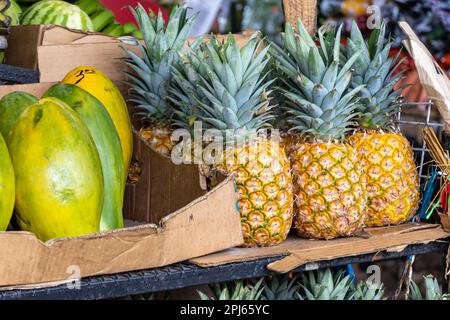 Tropische Früchte zum Verkauf auf einem Markt in Panama. Ananas, Mangos, Wassermelonen und Bananen. Stockfoto