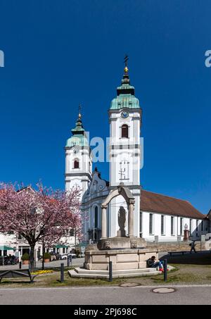 Blick auf die Stadt, Altstadt mit den Türmen der College-Kirche St. Peter, gut-Betha-Brunnen, Bad Forest Lake, Baden-Württemberg, Deutschland Stockfoto