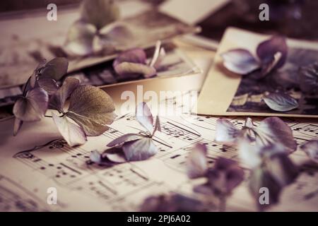 Erinnerungen - alte und antike Familienfotos aus dem Jahr 1930 mit altem Fotoalbum und Musiknotizen mit getrockneten Blumen im Vintage-Stil Stockfoto