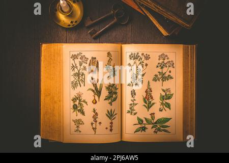 Altes antikes Buch mit Bildern von heilender und giftiger Pflanze Mit Kerze im Vintage-Stil auf schwarzem Hintergrund Stockfoto