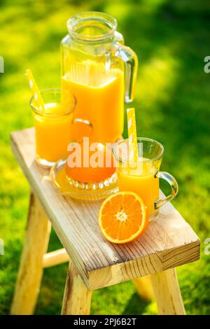 Zwei Gläser leckeren frisch gepressten Orangensaft auf Gartenhocker auf grünem Rasen Stockfoto