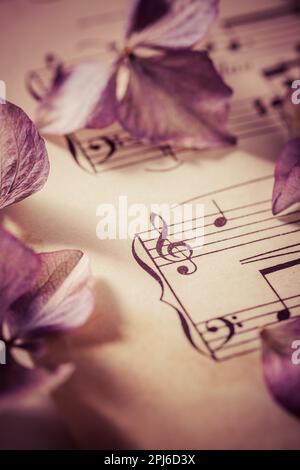 Notenblatt mit getrockneten Blumen im Vintage-Stil Stockfoto