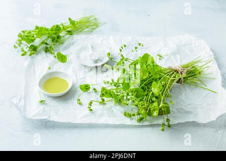 Winterportulak (Claytonia perfoliata), indischer Salat, gesundes grünes Gemüse für rohe Salate und Kochen mit Olivenöl und Salz. Stockfoto