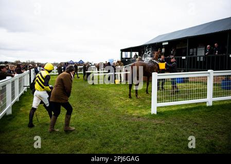 Bild ©lizenziert für Parsons Media. 31/03/2023. London, Vereinigtes Königreich. Garthorpe von Punkt zu Punkt. Treffpunkt des Garthorpe Point-to-Point-Rennens in der Nähe von Melton Mowbray Picture von Andrew Parsons/Parsons Media Stockfoto