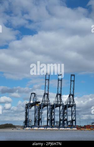 Felixstowe-Docks mit Kranen, Containern und Schiffen entlang der Seite von Suffolk East Anglia England Stockfoto