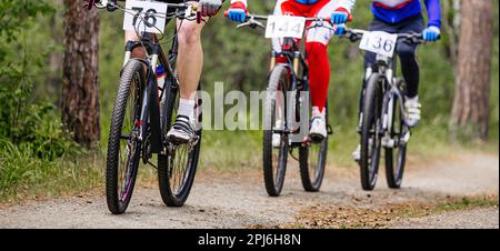 Gruppensportler, Radfahrer, Radfahrer, Waldwege, Mountainbike-Rennen, drei Männer auf Sporträdern Stockfoto