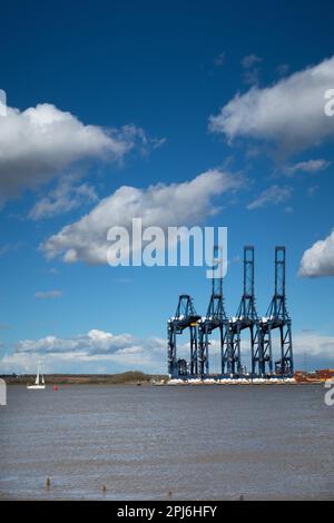 Felixstowe-Docks mit Kranen, Containern und Schiffen entlang der Seite von Suffolk East Anglia England Stockfoto