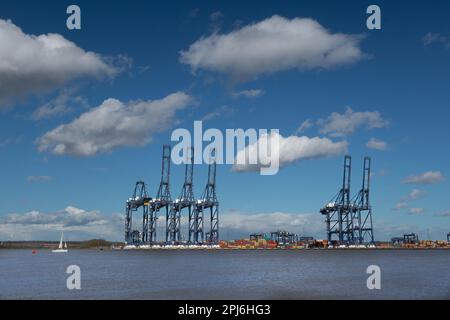 Felixstowe-Docks mit Kranen, Containern und Schiffen entlang der Seite von Suffolk East Anglia England Stockfoto