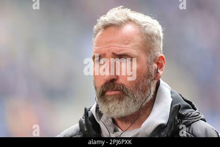 Düsseldorf, Deutschland. 31. März 2023. firo : 03/31/2023, Fußball, 2. Division, 2. Bundesdivision, Staffel 2022/2023, Fortuna Düsseldorf - HSV Hamburg Hamburg, HSV Hamburg Hamburg Hamburg Hamburg Coach Tim WALTER, HSV Hamburg, Portrait Credit: dpa/Alamy Live News Stockfoto