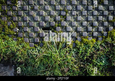 Eine alte Gusseisenabdeckung mit Moos und Unkraut. Stockfoto