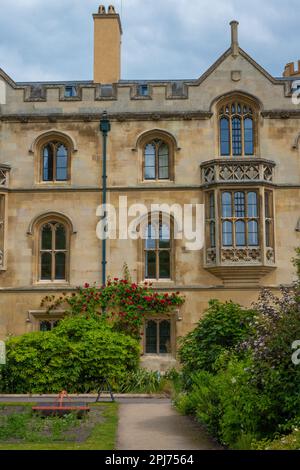 Mittelalterliche Architektur und historische Fenster von Nevile's Court am Trinity College in Cambridge Stockfoto