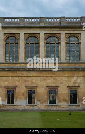 Mittelalterliche Architektur und historische Fenster von Nevile's Court am Trinity College in Cambridge Stockfoto