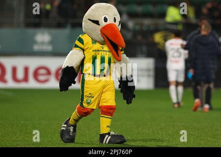 Den Haag, Niederlande. 31. März 2023. DEN HAAG, NIEDERLANDE - MÄRZ 31: Maskotte von ADO Den Haag während des niederländischen Keukenkampioendivisie-Spiels zwischen ADO Den Haag und Telstar im Bingoal Stadion am 31. März 2023 in Den Haag, Niederlande (Foto von Hans van der Valk/Orange Pictures) Kredit: Orange Pics BV/Alamy Live News Stockfoto