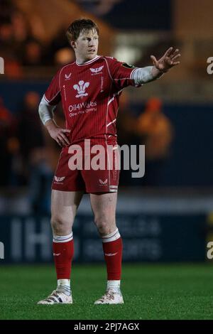 Llanelli, Großbritannien. 31. März 2023. Rhys Patchell of Scarlets während des Spiels Scarlets gegen Brive EPCR Challenge Cup Rugby. Kredit: Gruffydd Thomas/Alamy Stockfoto