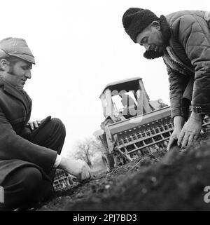 Staatliche landwirtschaftliche Genossenschaft im kommunistischen Rumänien in den 1970er Jahren. Vorgesetzter und Bauer auf dem Feld im Frühling. Stockfoto