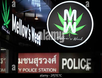 Bangkok, Thailand. 30. März 2023. Eine Detailansicht des Marihuana Outlets von Mellow's Weed. Bangkoks berüchtigtes Rotlicht-Unterhaltungsviertel Patpong wurde seit der COVID-19-Pandemie wieder eröffnet. Es ist wieder ein Street Food Nachtmarkt mit nur wenigen Go Go Go Bars, 2 Straßen bieten auch Souvenirs, Kleidung und Schmuck. Seit der Legalisierung von Marihuana am 9. Juni wurden auch Marihuana-Verkaufsstellen in der Region eröffnet. (Foto: Paul Lakatos/SOPA Images/Sipa USA) Guthaben: SIPA USA/Alamy Live News Stockfoto
