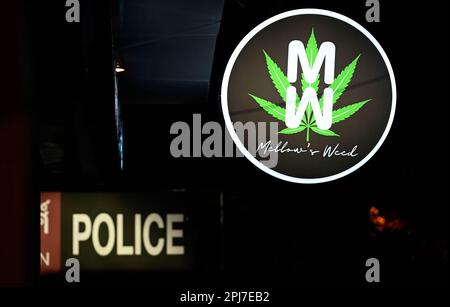 Bangkok, Thailand. 30. März 2023. Eine Detailansicht des Marihuana Outlets von Mellow's Weed. Bangkoks berüchtigtes Rotlicht-Unterhaltungsviertel Patpong wurde seit der COVID-19-Pandemie wieder eröffnet. Es ist wieder ein Street Food Nachtmarkt mit nur wenigen Go Go Go Bars, 2 Straßen bieten auch Souvenirs, Kleidung und Schmuck. Seit der Legalisierung von Marihuana am 9. Juni wurden auch Marihuana-Verkaufsstellen in der Region eröffnet. (Foto: Paul Lakatos/SOPA Images/Sipa USA) Guthaben: SIPA USA/Alamy Live News Stockfoto