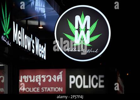 Bangkok, Thailand. 30. März 2023. Eine Detailansicht des Marihuana Outlets von Mellow's Weed. Bangkoks berüchtigtes Rotlicht-Unterhaltungsviertel Patpong wurde seit der COVID-19-Pandemie wieder eröffnet. Es ist wieder ein Street Food Nachtmarkt mit nur wenigen Go Go Go Bars, 2 Straßen bieten auch Souvenirs, Kleidung und Schmuck. Seit der Legalisierung von Marihuana am 9. Juni wurden auch Marihuana-Verkaufsstellen in der Region eröffnet. (Credit Image: © Paul Lakatos/SOPA Images via ZUMA Press Wire) NUR ZUR REDAKTIONELLEN VERWENDUNG! Nicht für den kommerziellen GEBRAUCH! Stockfoto