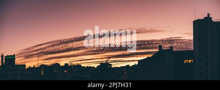 Atemberaubender und dramatischer Panoramablick auf den Sonnenuntergang in Lissabon, mit Rosa Farbschattierungen, die sich in einen gelblichen Himmel verwandeln. Dunkel ausgekleidete Wolken; die Silhouette des städtischen Bui Stockfoto