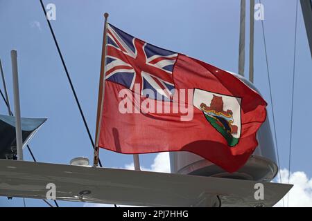 Roter Fähnrich Bermuda Stockfoto