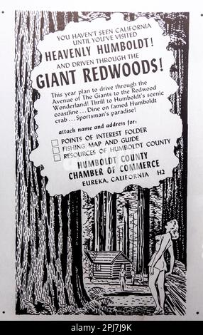 Humboldt County Redwoods California Reisewerbung in einer Zeitschrift NatGeo, Mai 1957 Stockfoto