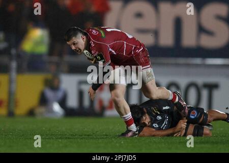 Llanelli, Großbritannien. 31. März 2023. Steff Evans von Scarlets beim Scarlets gegen Brive EPCR Challenge Cup Rugby-Spiel. Kredit: Gruffydd Thomas/Alamy Stockfoto