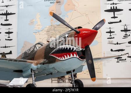 Curtis Wright P 40 Hawk-Kämpfer aus dem Zweiten Weltkrieg im Palm Springs Air Museum Stockfoto