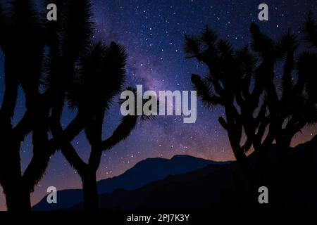 Spektakulärer nächtlicher Himmel im Joshua Tree-Nationalpark im Süden Kaliforniens Stockfoto