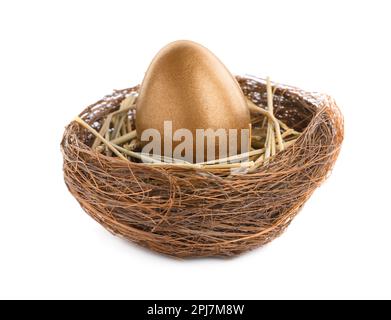 Ein goldenes Ei im Nest auf weißem Hintergrund Stockfoto