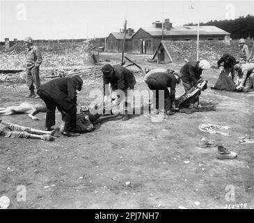 Deutsche Zivilisten, die im Lager Kaufering IV, Teil des KZ Dachau, Hungeropfer begraben mussten. Stockfoto