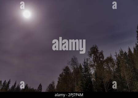 Der Mond durch die Wolken und Nebel erleuchtet die Baumwipfel des Waldes im Altai Stockfoto