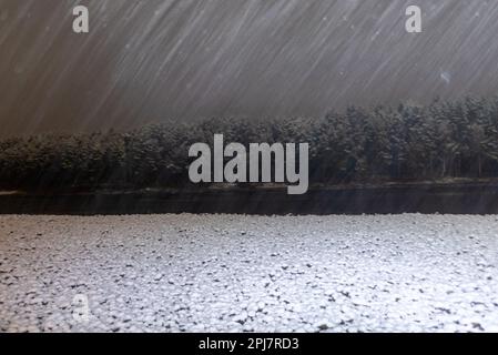 Nachts fällt weißer Schnee in der Dunkelheit in einem Lichtstrahl vor dem Hintergrund des Flusses Katun und Wälder im Herbst im Altai Stockfoto
